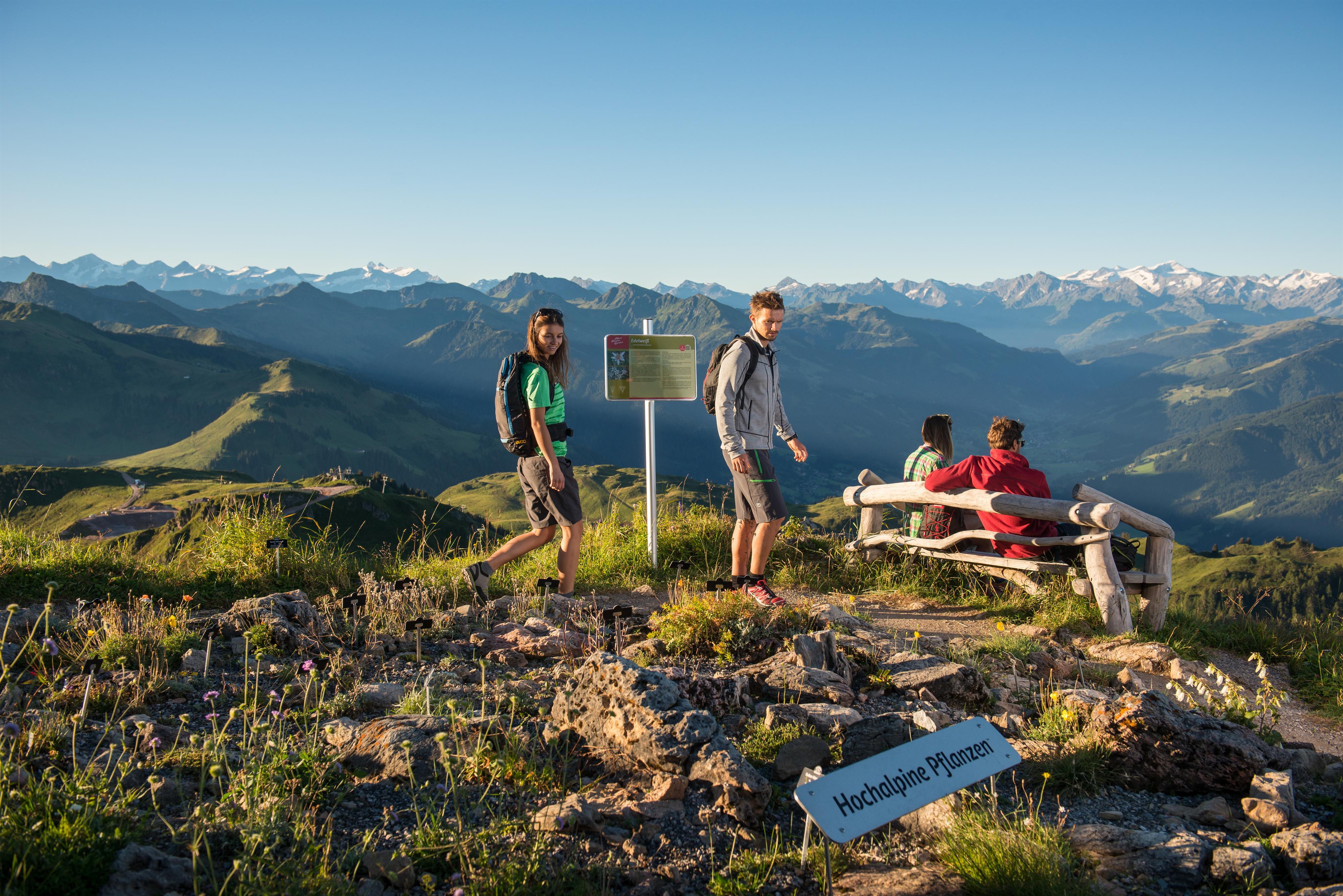 ORF Sommerfrische am Kitzbüheler Horn