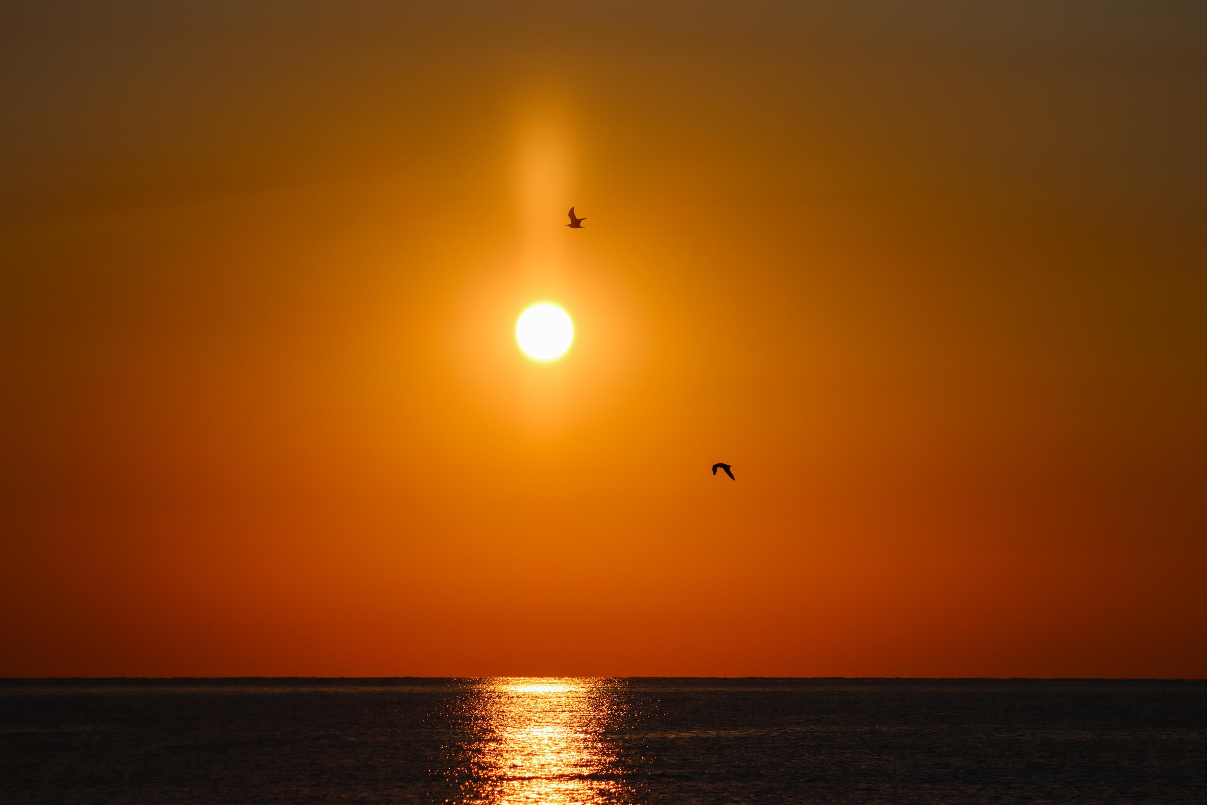 Ausstellung „summer is calling“