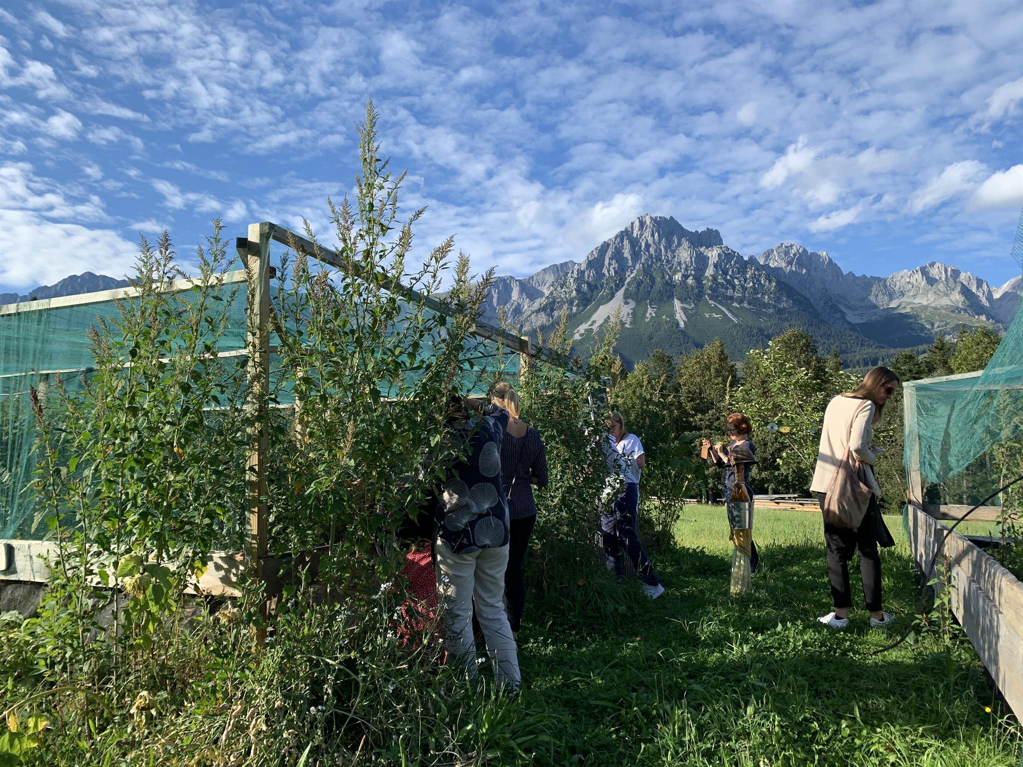 Kaiserschnecke Schneckenfarm: Führung & Verkostung