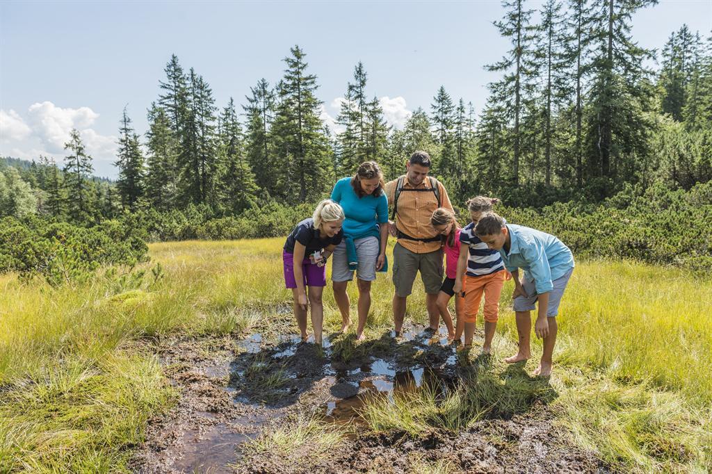Kaiserherbst – Moorwanderung für Familien