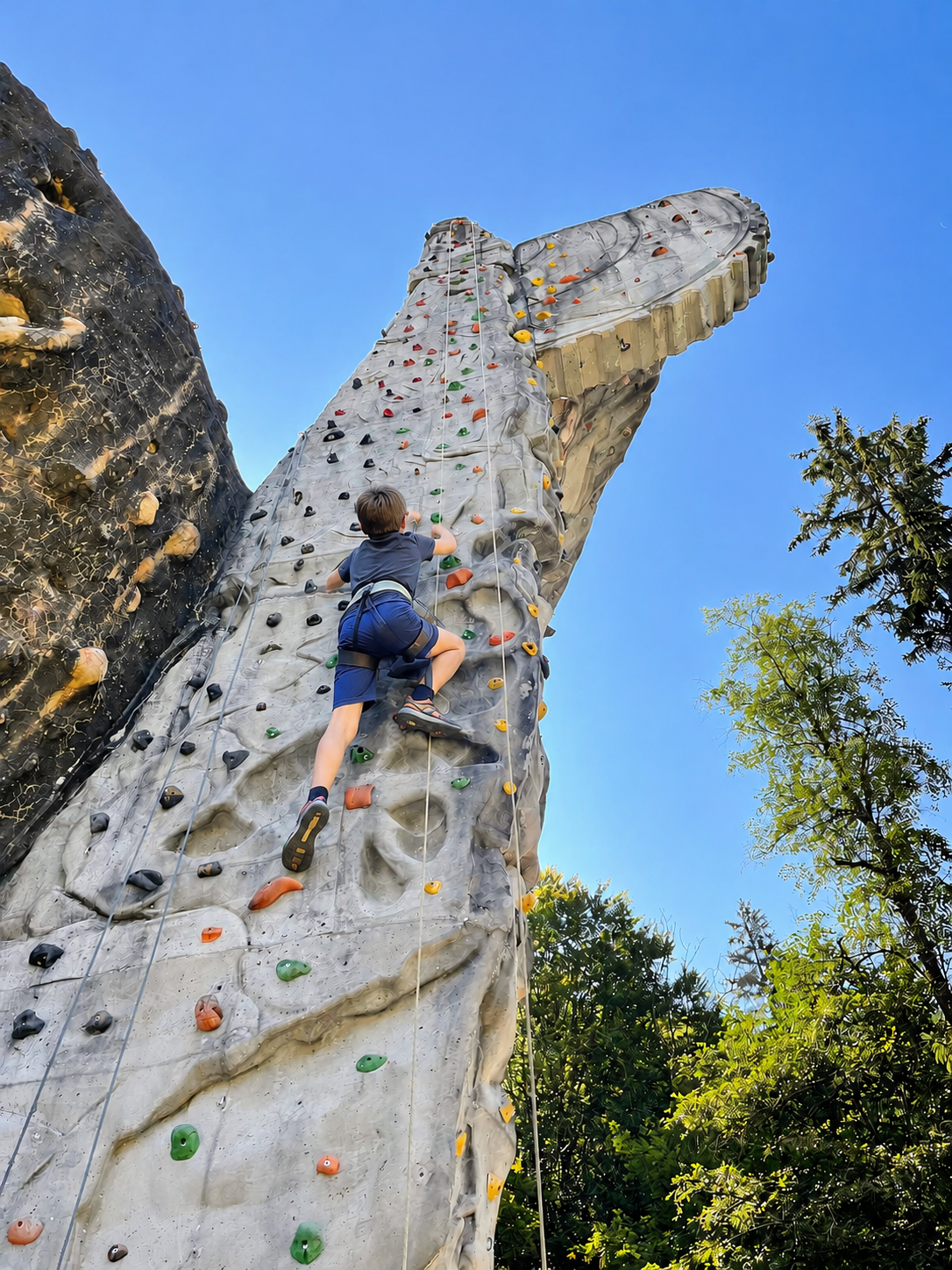 KINDERPROGRAMM – Hoch hinaus beim Klettern