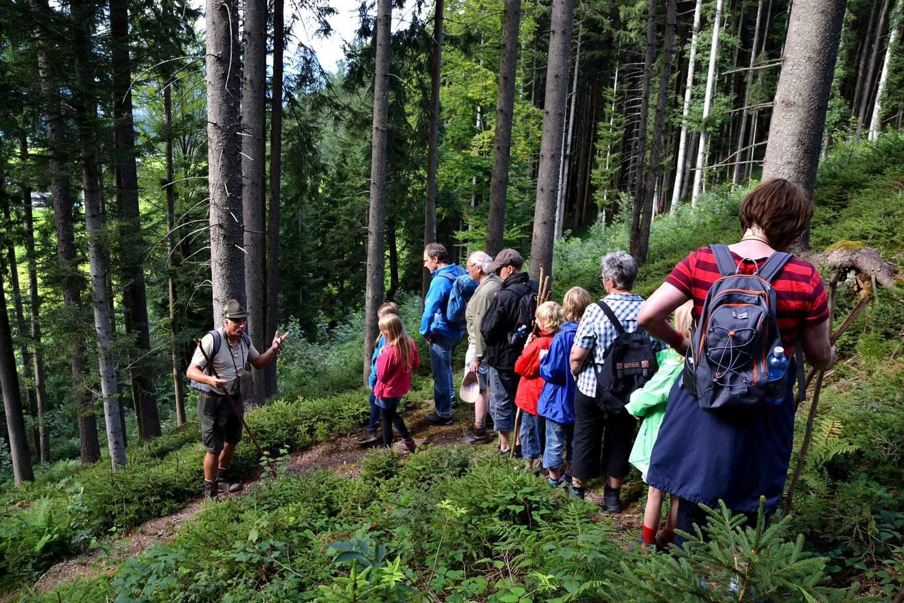 Kreative Sommerwerkstätte – Familie auf der Pirsch