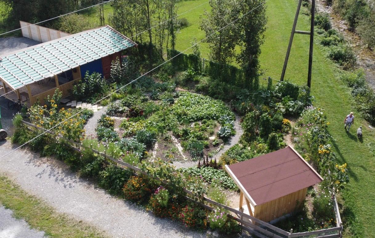 Kreative Sommerwerkstätte – Spazieren durch den Gemeinschaftsgarten