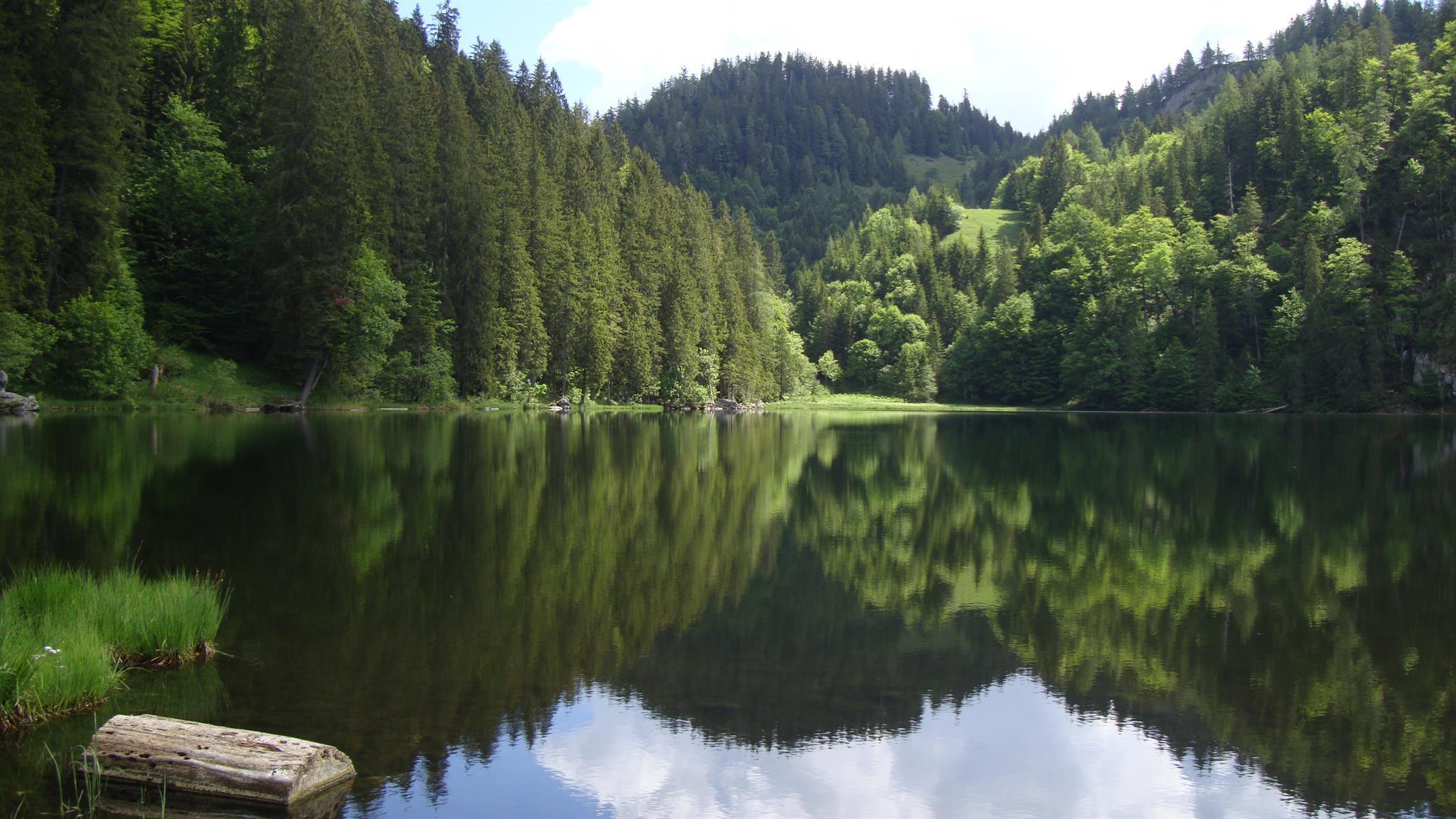 Geführte Wanderung zum Taubensee**