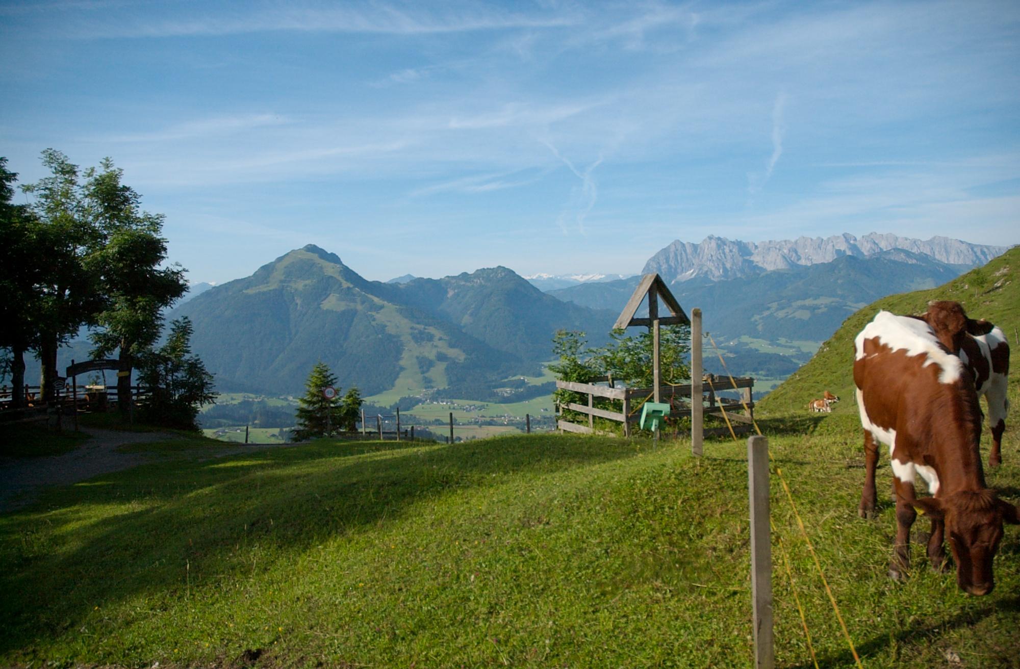 Wanderung des Monats – Abschlusswanderung zum Taubensee**