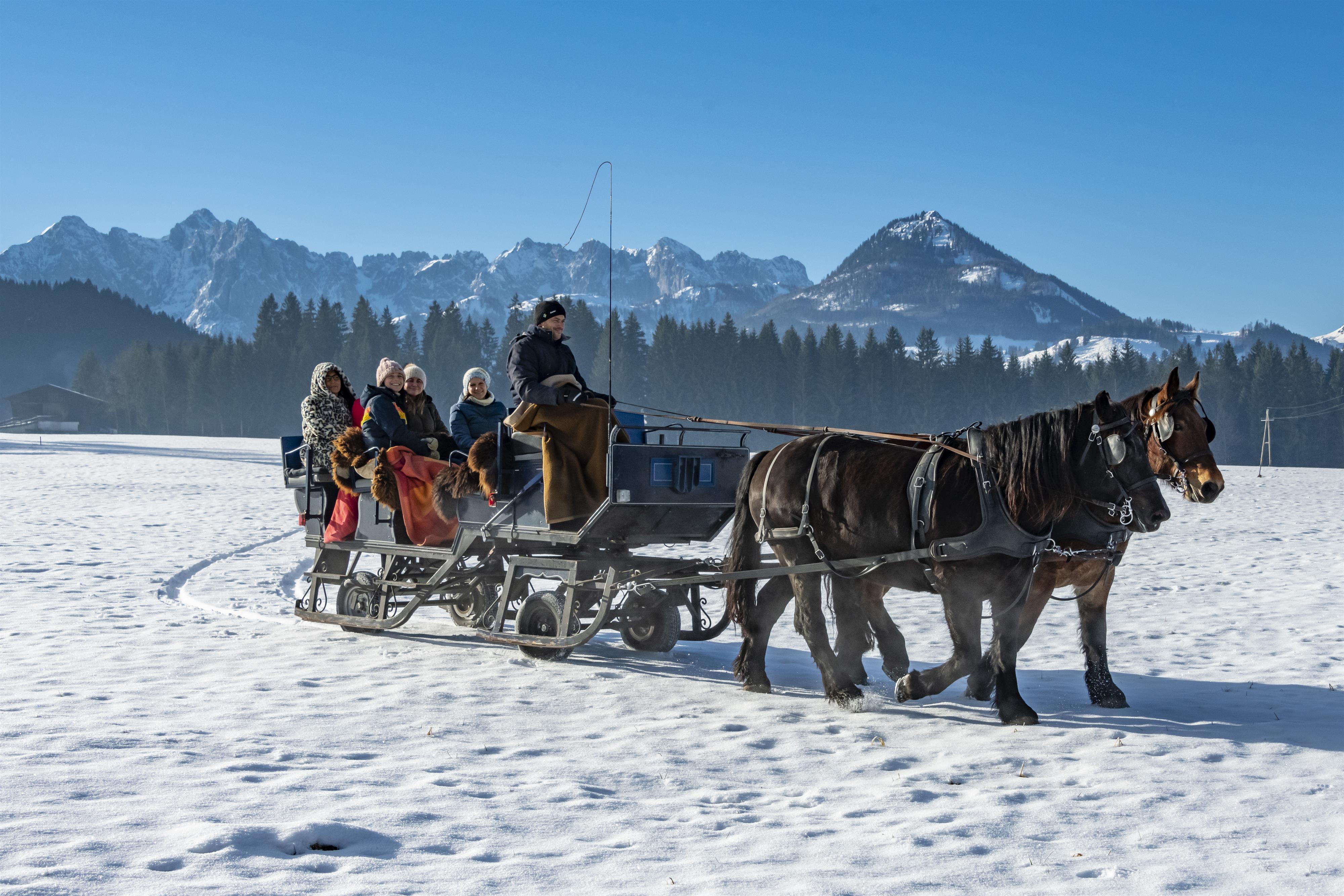 Mit Ross & Schnaps durchs Winterabenteuer– Kutschenfahrt, Brennerei & Lagerfeuer