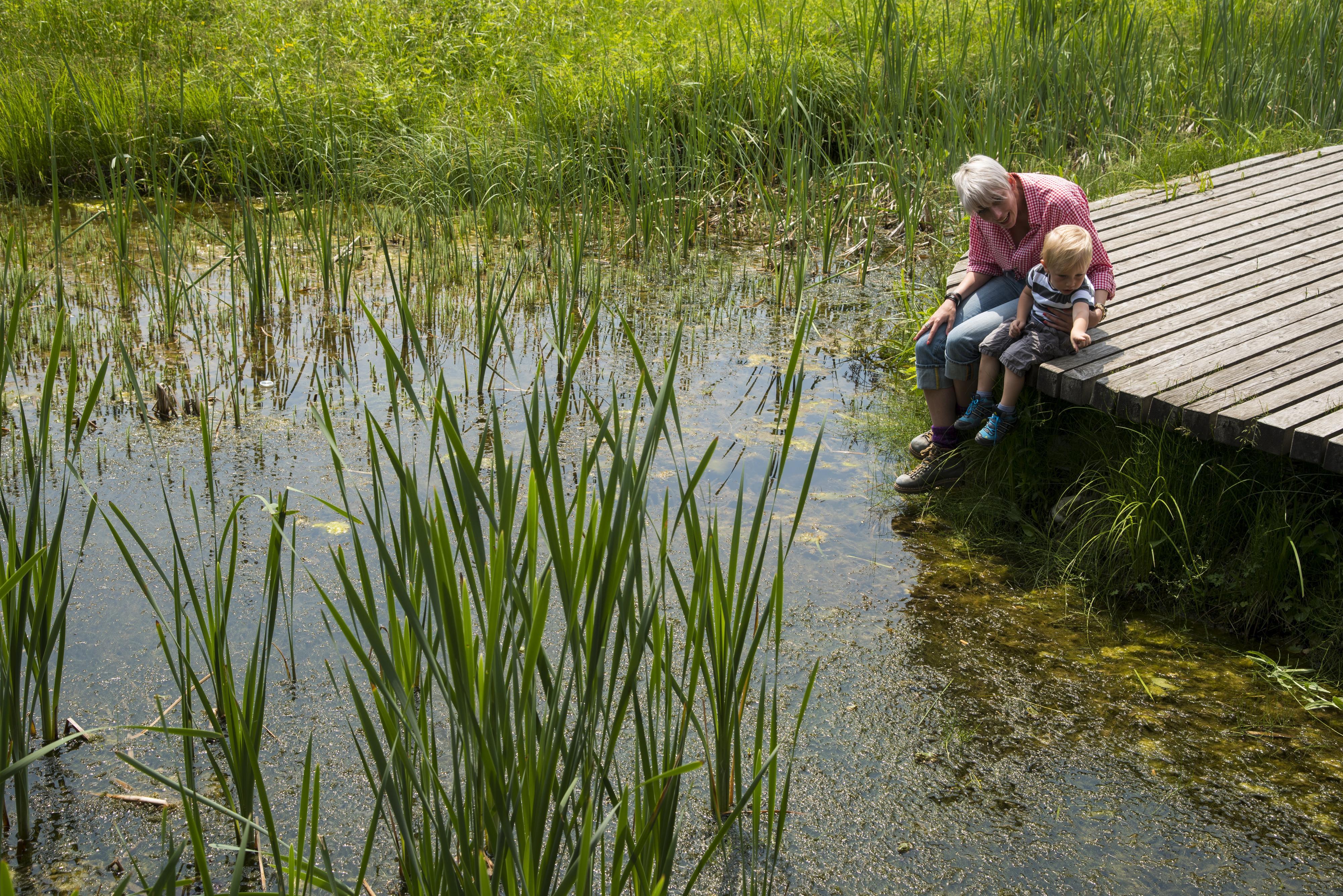 Kreative Sommerwerkstätte – Abenteuer Naturschutzgebiet Schwemm
