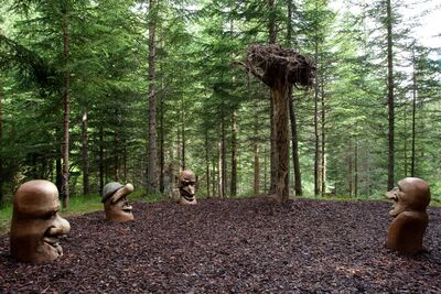Lader Schlossweiher zur Schöngampalm