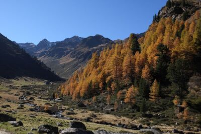 Urgtal im Herbst