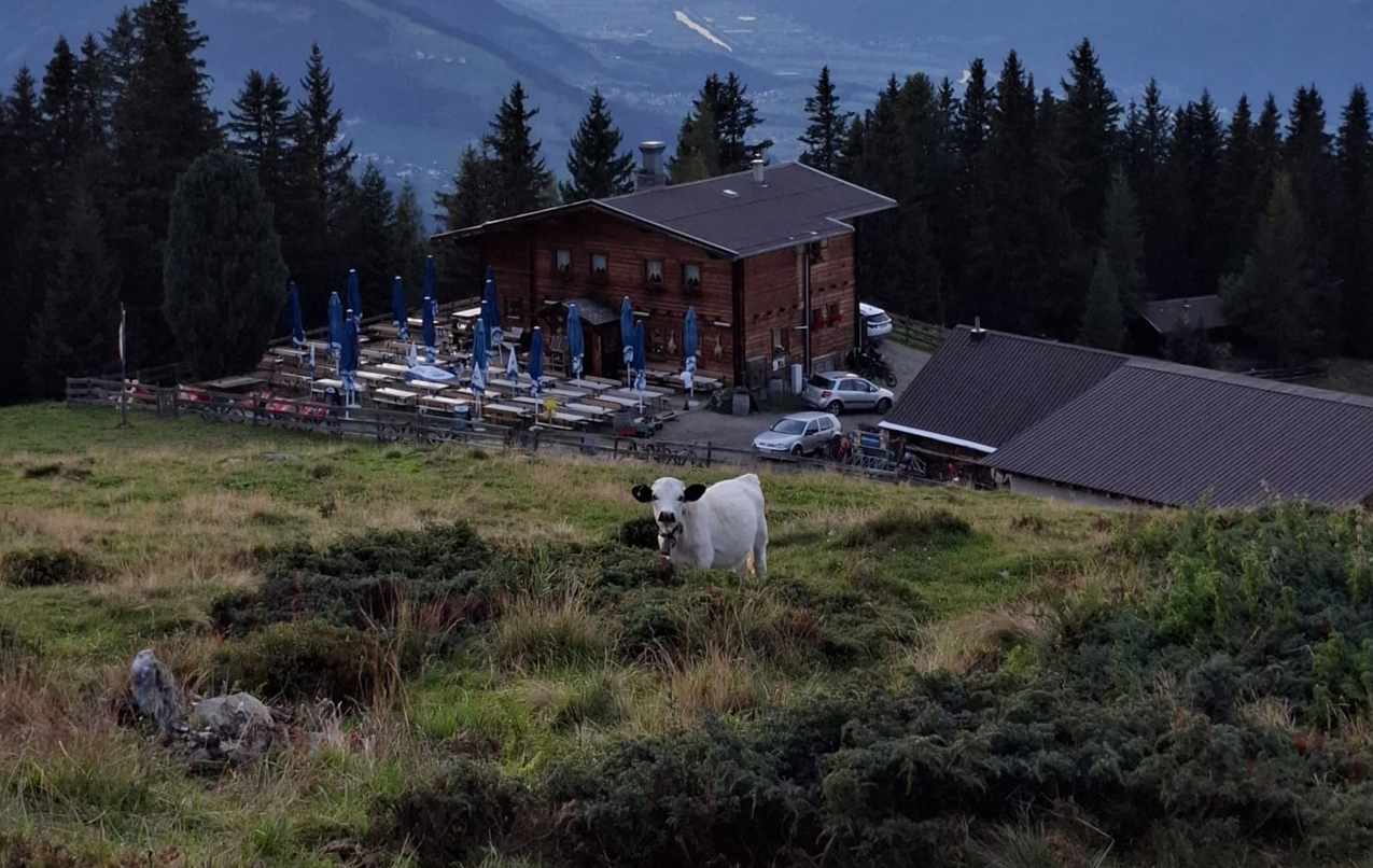 Almabtrieb der Birgitzer Alm