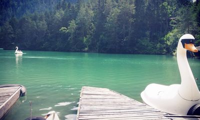 Boat rental at lake Fernsteinsee 2