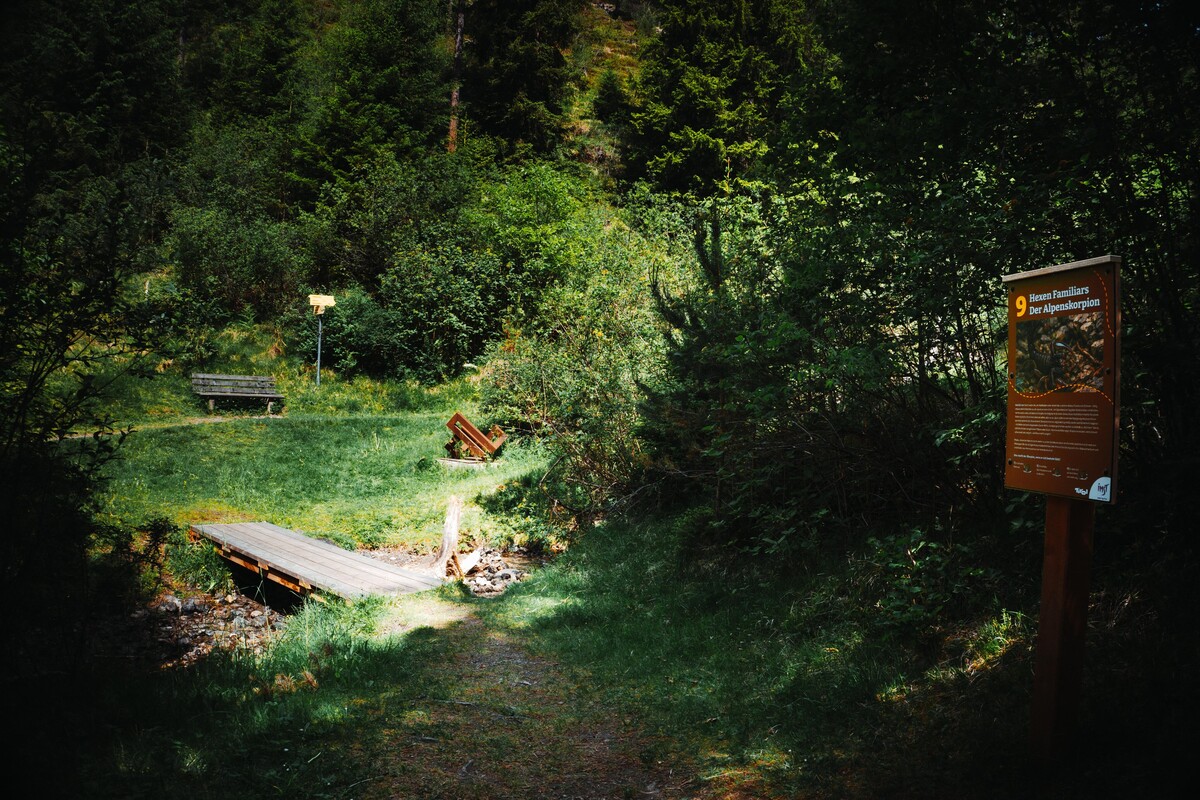 Trixi's Hexenlehrpfad 4