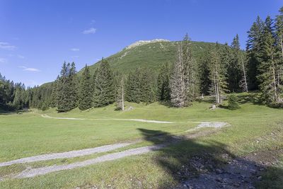 Sinnesjoch (No. 43) 2