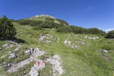Sinnesjoch (No. 43) 3