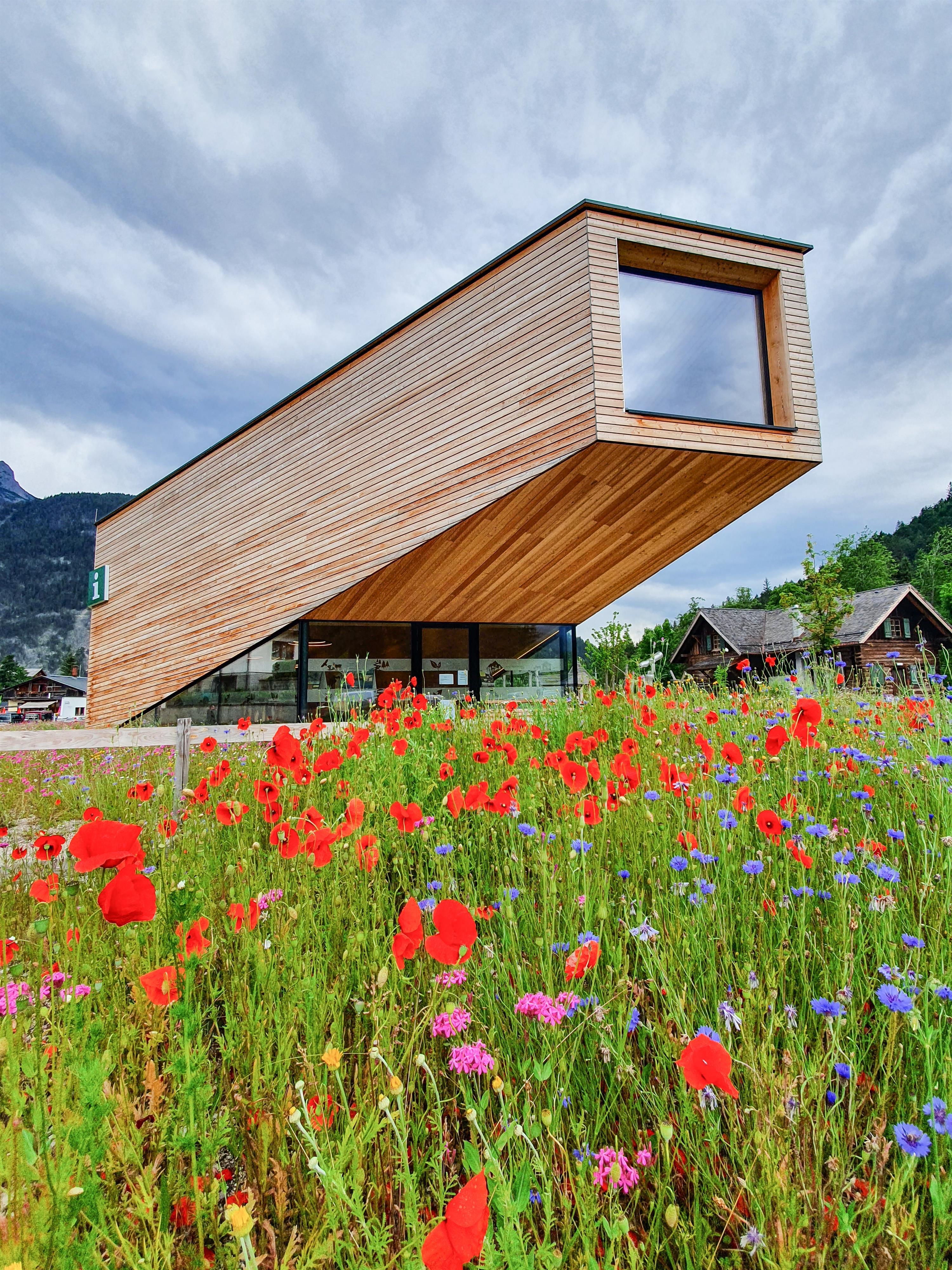 Workshop & Spaziergang – Saatgutbibliothek