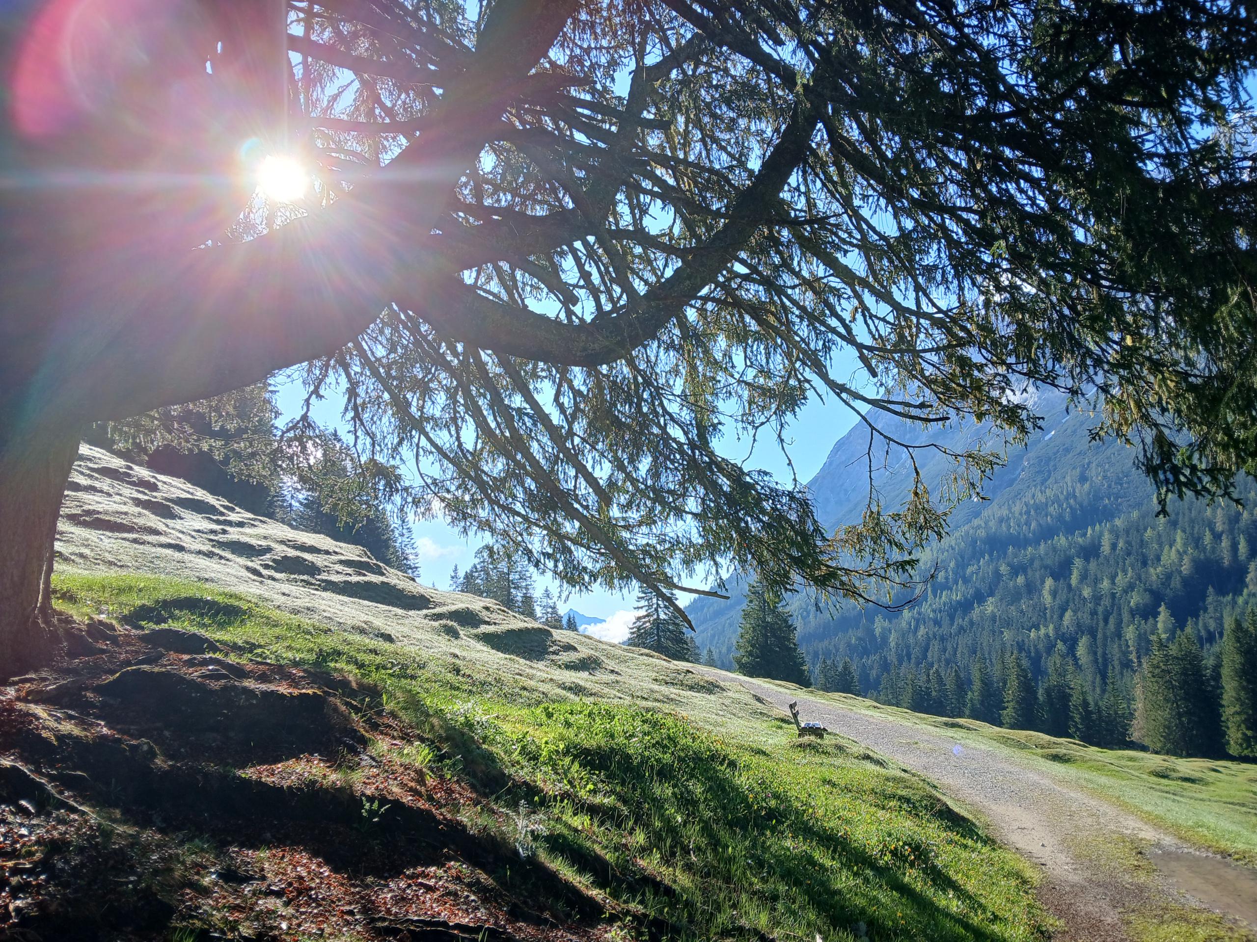Harry’s Talwanderung im Sommer