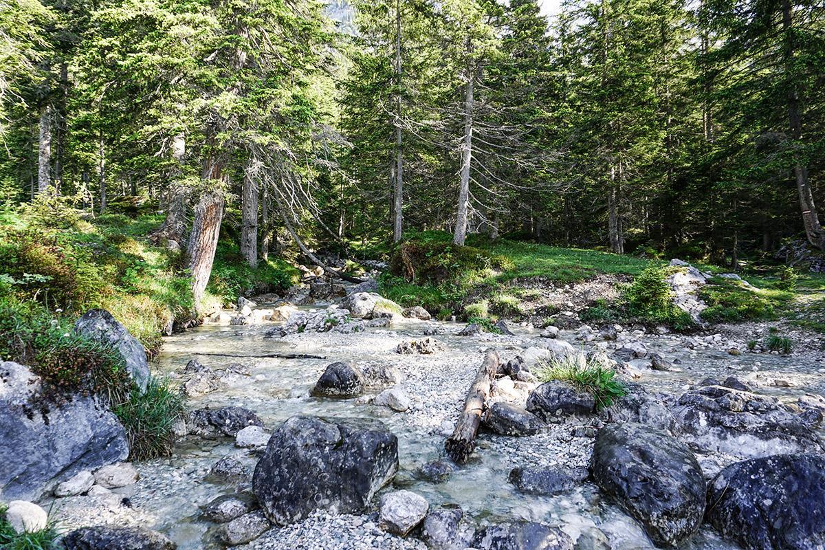 Leutascher Bergfrühlingstage – Besondere Plätze „Hochmähder“