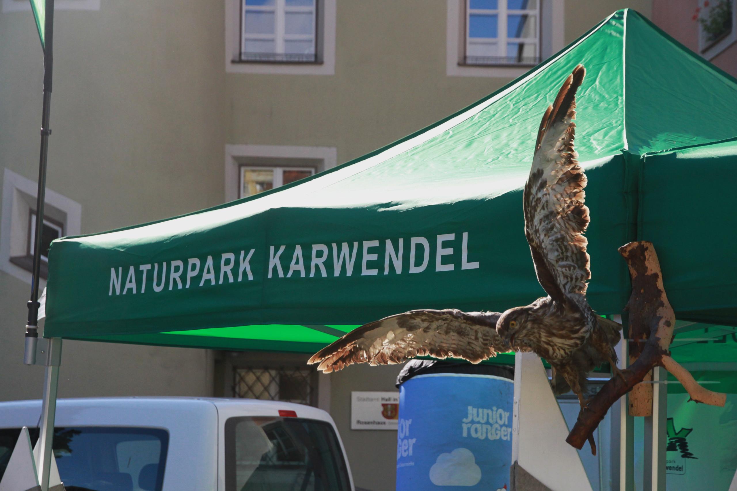 Der Naturpark Karwendel zu Gast in Leutasch