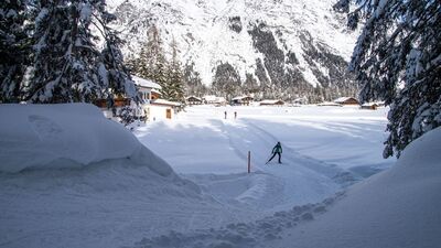 B11 Waldloipe mit Langlaeuferin