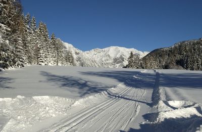 Loipe Neuleutasch - C3 (Klassisch & Skating) 2