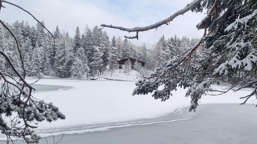 Möserer Seestub n  Gasthaus  Restaurant
