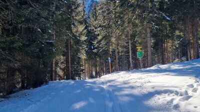 Langlaufloipe A11 mit Wegweiser im Wald