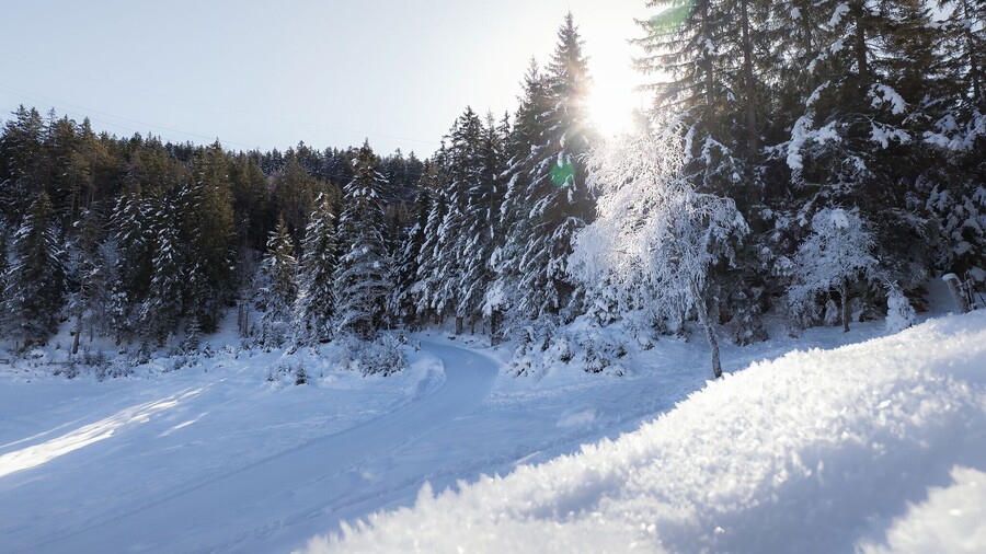 Wildmoos Runde / Seefeld (Klassisch & Skating) 4