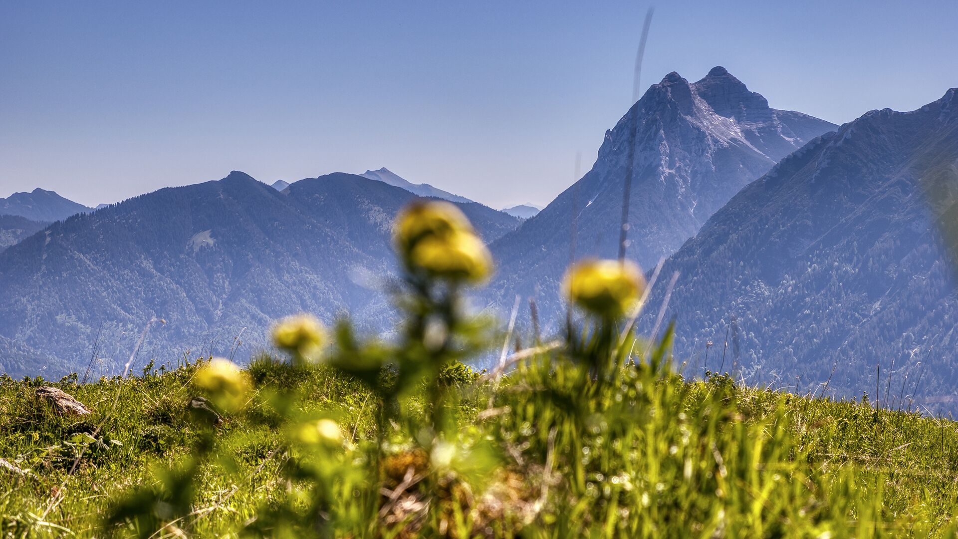 Photo for route: Achenkirch - Stubachalm - Guffert - Achenkirch