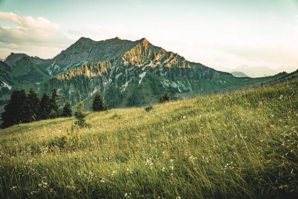 Panoramawanderung