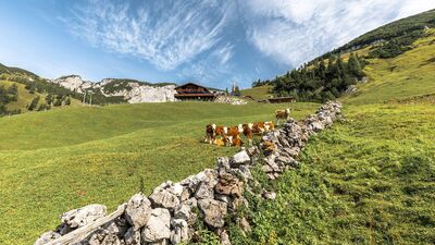 Blick zur Dalfaz Alm