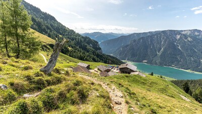 Dalfaz Alm mit Blick auf den Achensee