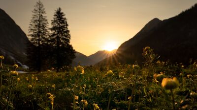 Sonnenaufgangsstimmung am Ende des Falzthurntales im Naturpark Karwendel in Pertisau