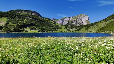Blick zum Zireiner See - im Hintergrund die Rofanspitze