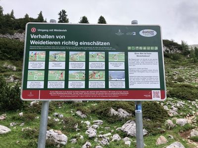 2/7 Umgang mit Weidevieh