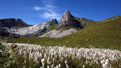 5-Gipfel-Klettersteig - Rosskopf