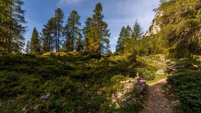 Wanderweg von der Rofan Seilbahn in Richtung Dalfaz Alm