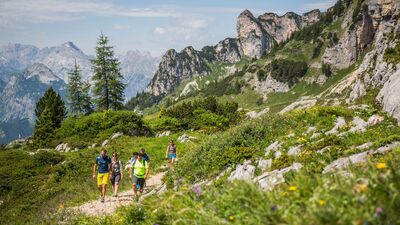 wandern im Rofangebirge - am Weg des Naturlehrpfades