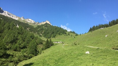 Weg zur Weißenbachalm