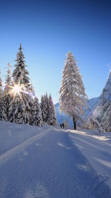 Winterwanderweg von der Falzthurn zur Gramai Alm