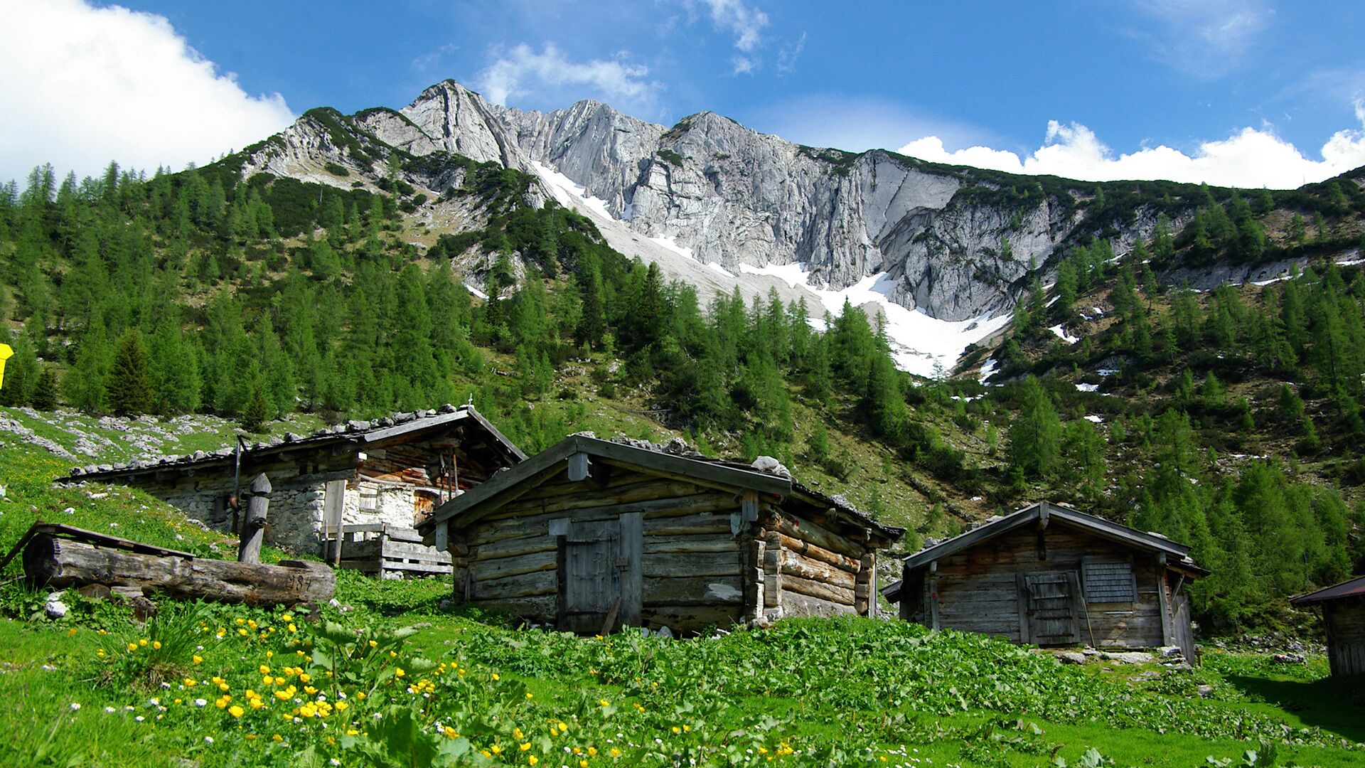 Foto zur Tour: Achenkirch - Koglalm - Seekaralm - Pasillalm - Achenkirch