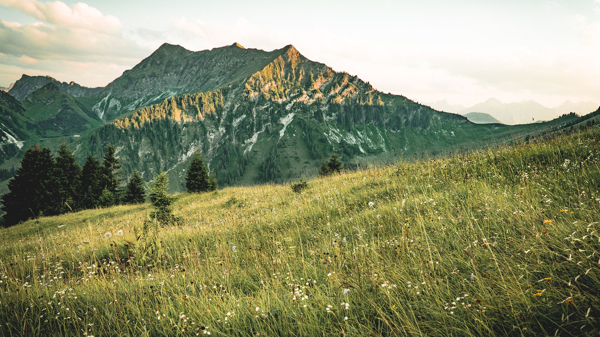 Foto zur Tour: Achenkirch - Bründlalm - Jochalm - Seewaldhütte - Hochplatte - Achenkirch
