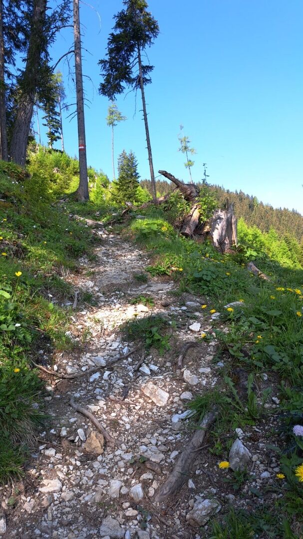 Foto zur Tour: Achenkirch - Bründlalm - Jochalm - Seewaldhütte - Hochplatte - Achenkirch