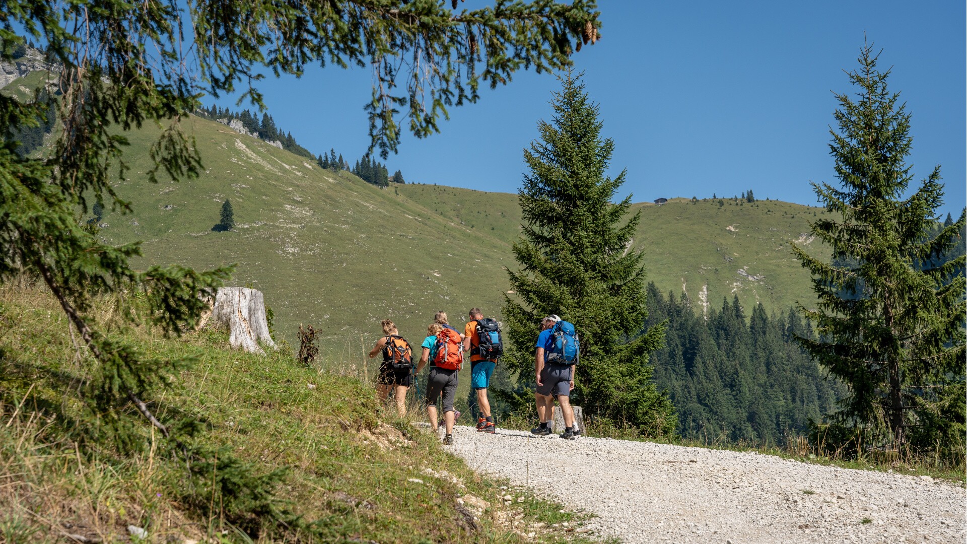 Foto zur Tour: Achenkirch - Gröbner Hals - Steinölbrennerei im Bächental - Achenkirch