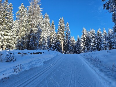 Langlaufen am Gachenblick