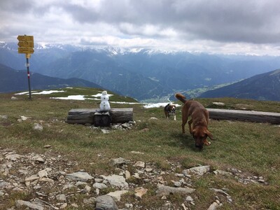 Venet-Rundwanderweg - Ausblick von der Glanderspitze