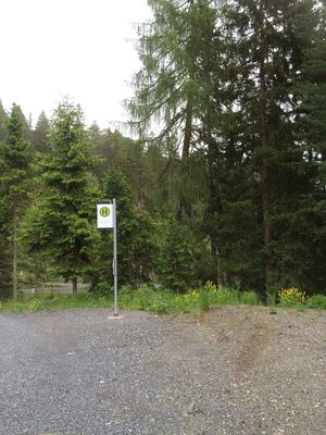 Hike from Piller Moor to Gogles Alm 7