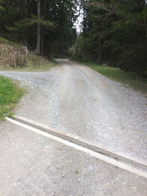 IMG_4727.JPG