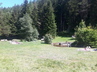 Piller landscaped pond 8