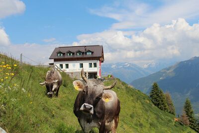Venet Rundwanderweg   Start Plattenrain Arzl