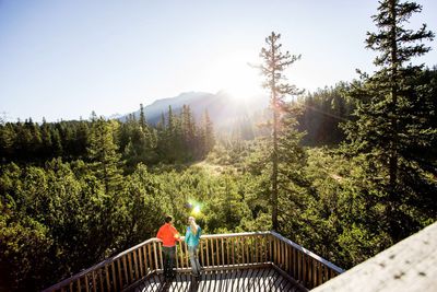 Piller Moor nature trail – wheelchair-accessible route 7